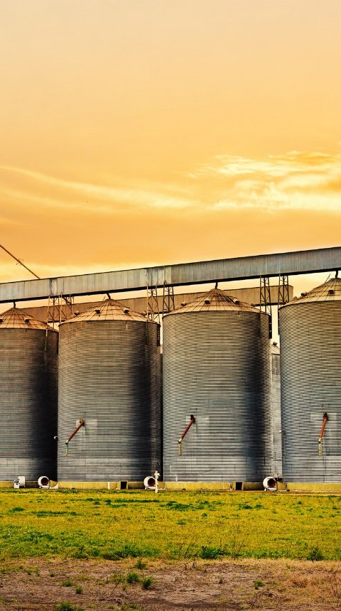Instalación agroindustrial